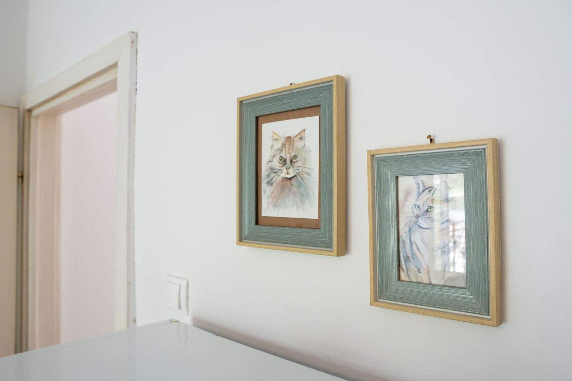 M&B Apartment Kotor Luaran gambar